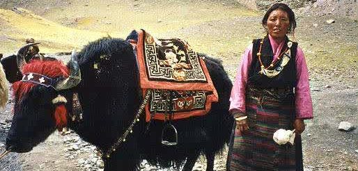 30 Fakta Istimewa Tentang TIBET 30 Fakta Istimewa Tentang TIBET